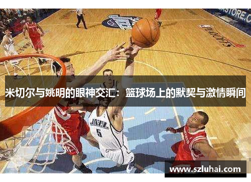 米切尔与姚明的眼神交汇：篮球场上的默契与激情瞬间
