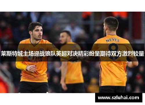 莱斯特城主场迎战狼队英超对决精彩纷呈期待双方激烈较量